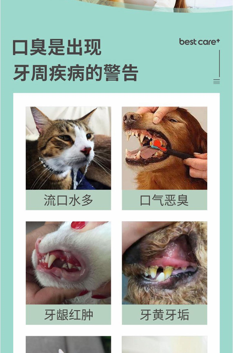 倍珍保 优宠亲口腔护理颗粒 150g 犬猫通用 预防牙结石