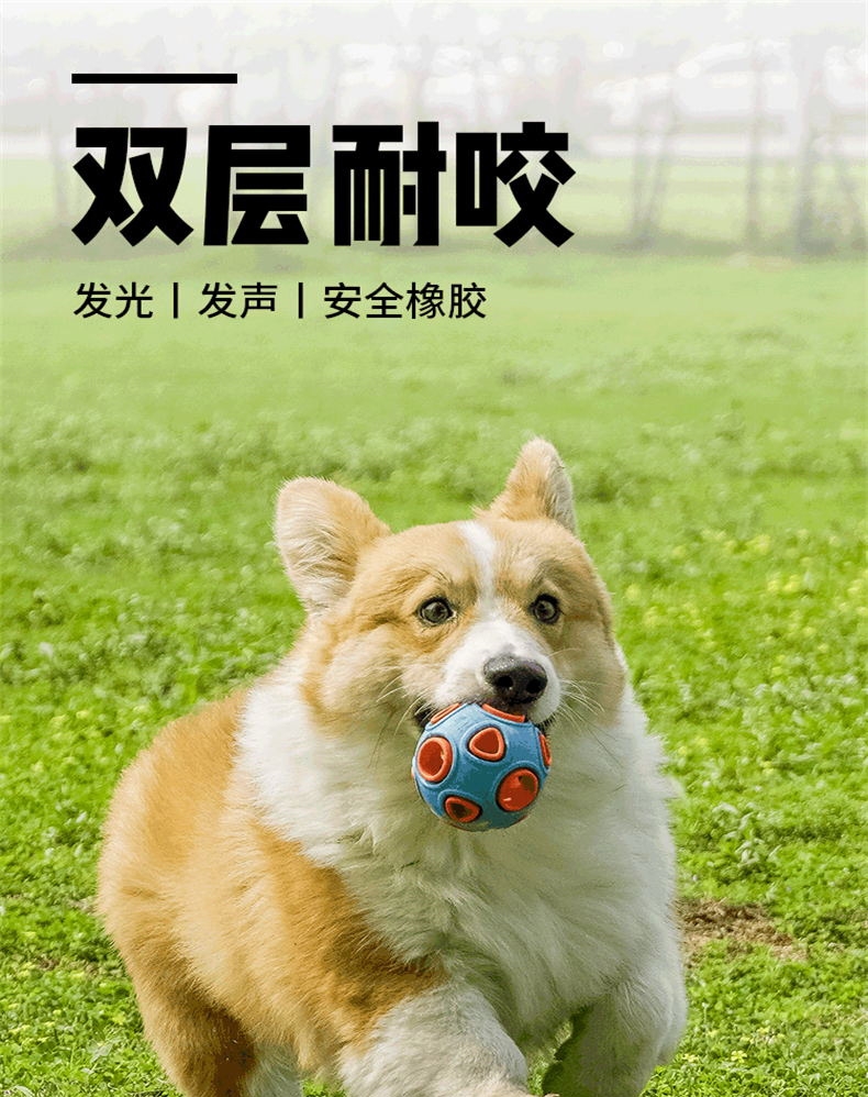 么哇/mewajump 发光海葵球 耐咬耐玩 妙趣横生