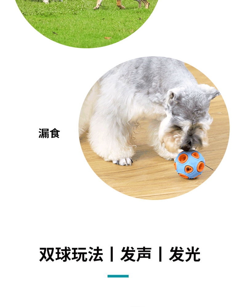 么哇/mewajump 发光海葵球 耐咬耐玩 妙趣横生