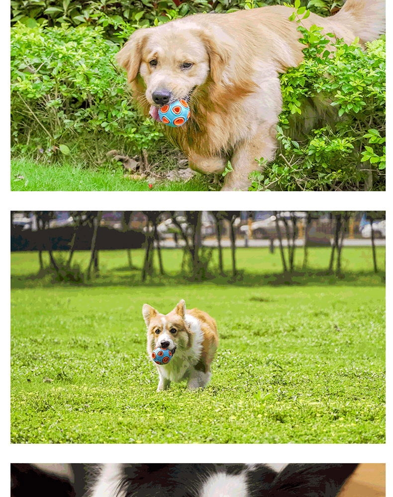 么哇/mewajump 发光海葵球 耐咬耐玩 妙趣横生