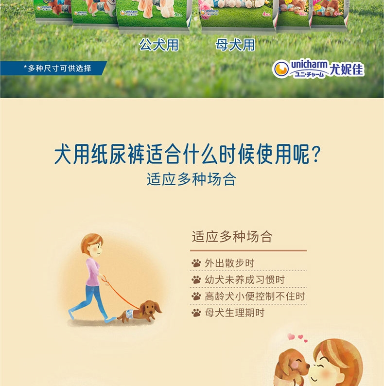 佳乐滋 礼貌裤公犬用M蓝 42片