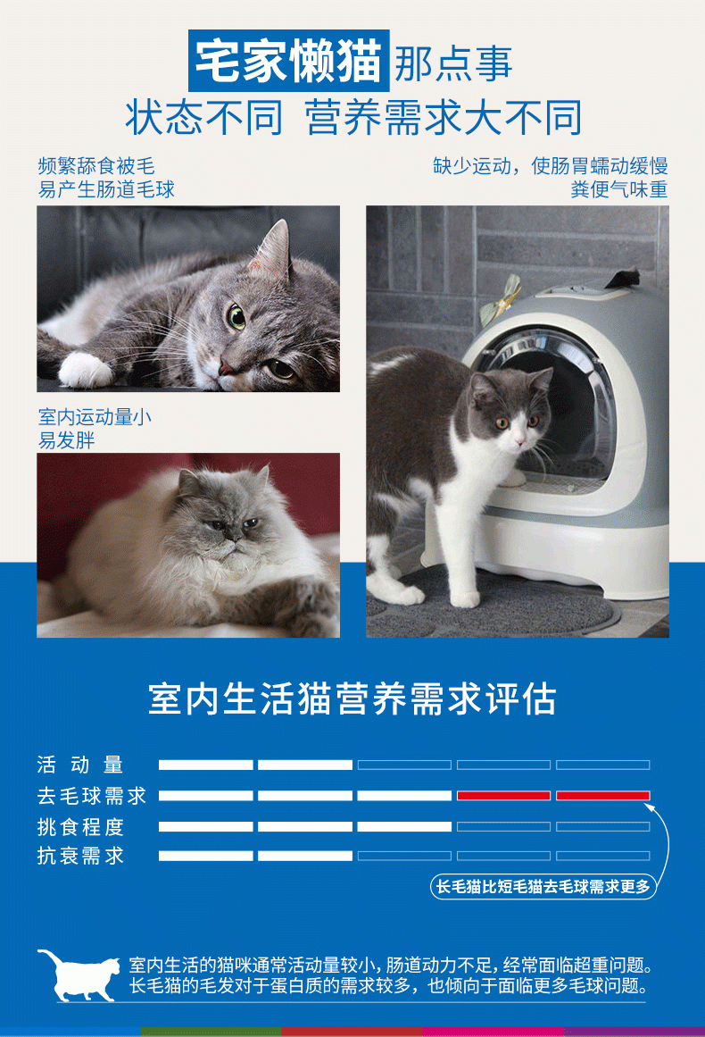 皇家 室内长毛成猫全价粮ILH35 2KG
