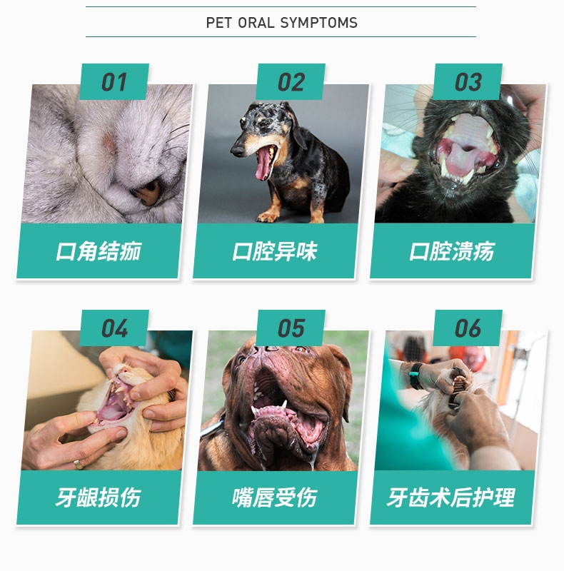 倍贝宠 酶力洁 10g 猫狗通用 口腔健康护理 治疗溃疡口角炎