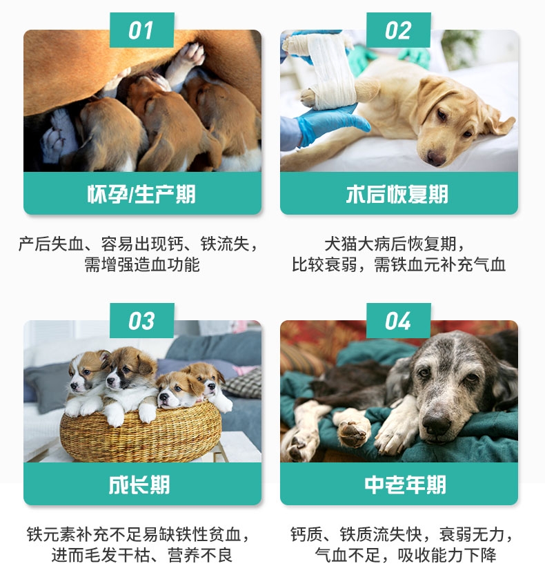 倍贝宠 铁血元 60片 猫狗通用 补铁补血