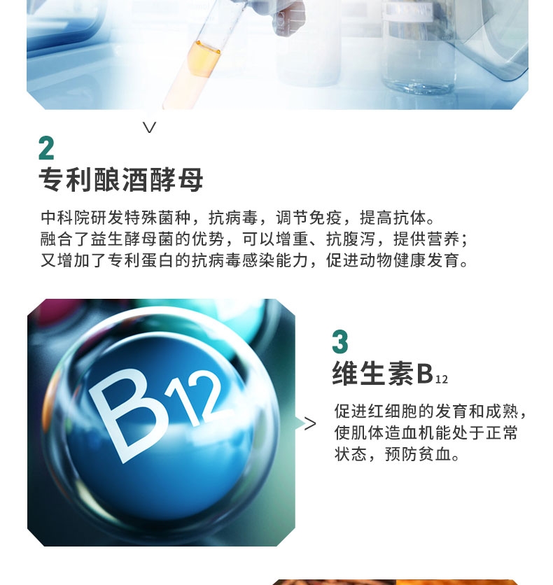 倍贝宠 铁血元 60片 猫狗通用 补铁补血