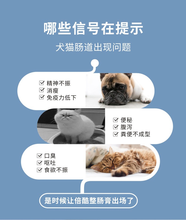 倍酷 整肠膏益生菌益生元 15g 调理肠道 减少腹泻