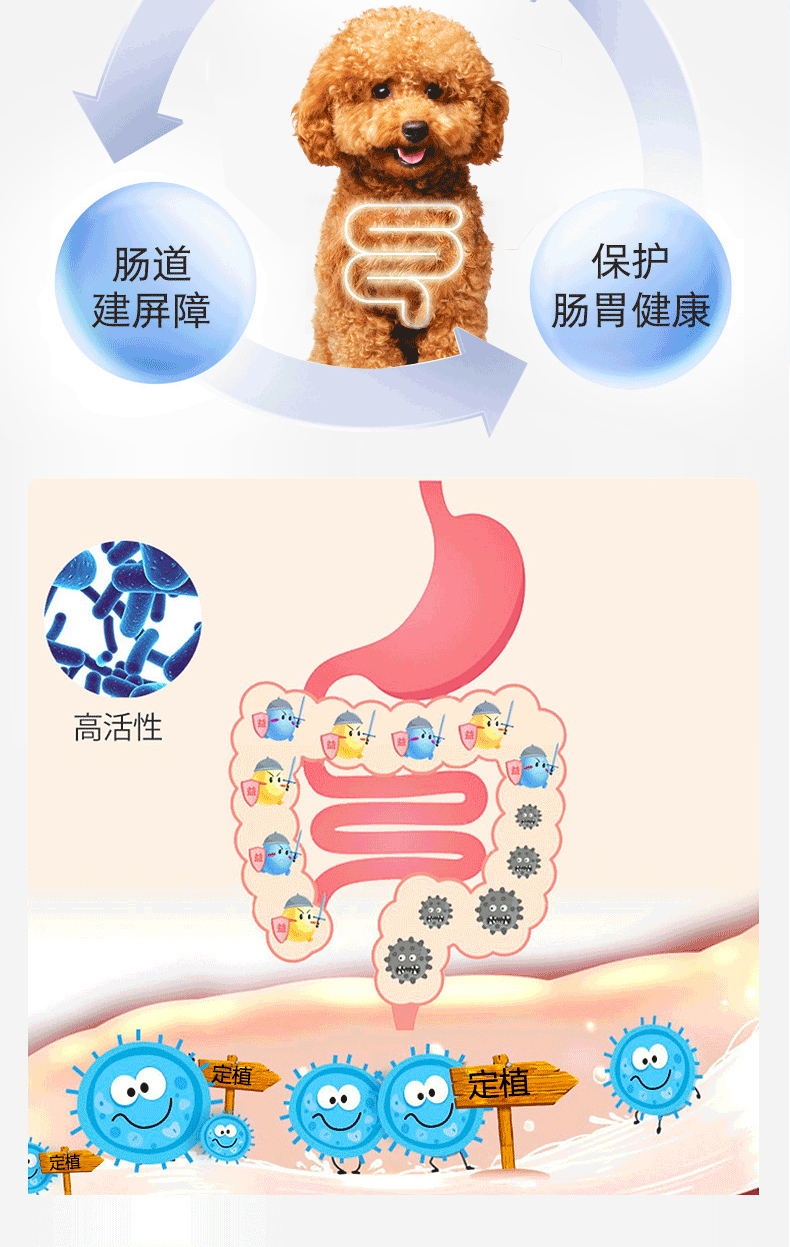 泰淘气 活菌 1g*10包 改善腹泻口臭 猫狗通用