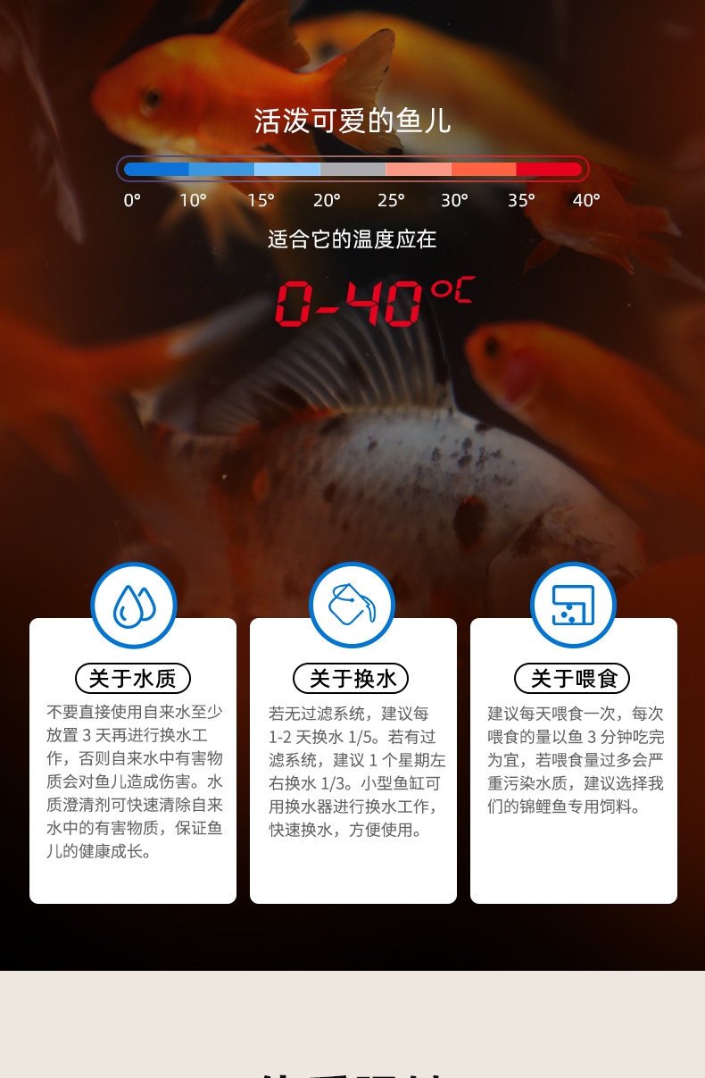 聚宝源 5-6cm红草鲫30条,防运损多发4条