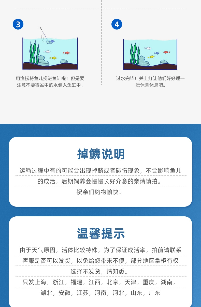 聚宝源 6-8cm红草鲫100条,防运损多发10条