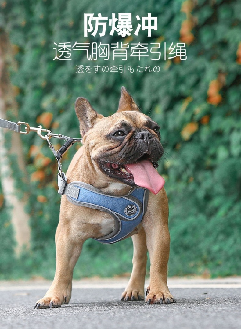 舒拜 X型胸背 夜间反光 防爆冲