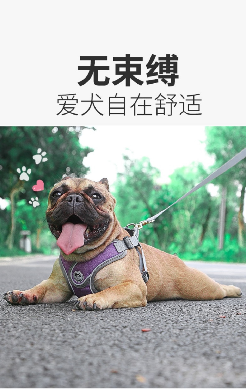 舒拜 X型胸背 夜间反光 防爆冲