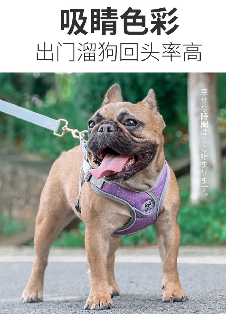 舒拜 X型胸背 夜间反光 防爆冲