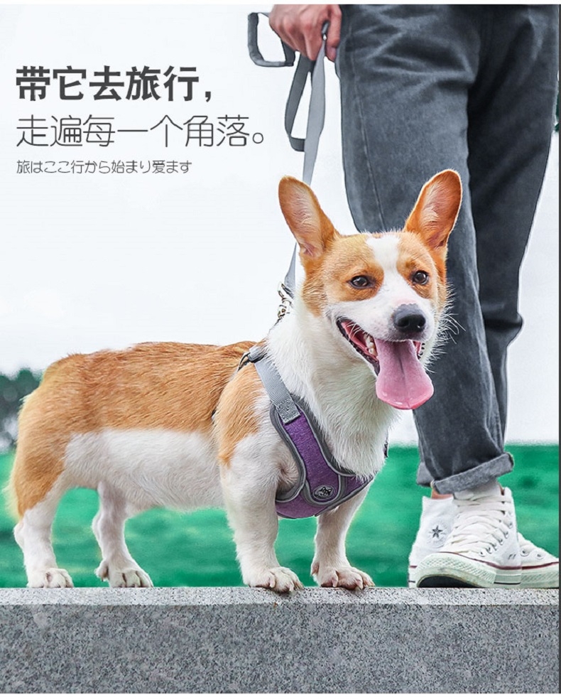 舒拜 X型胸背 夜间反光 防爆冲