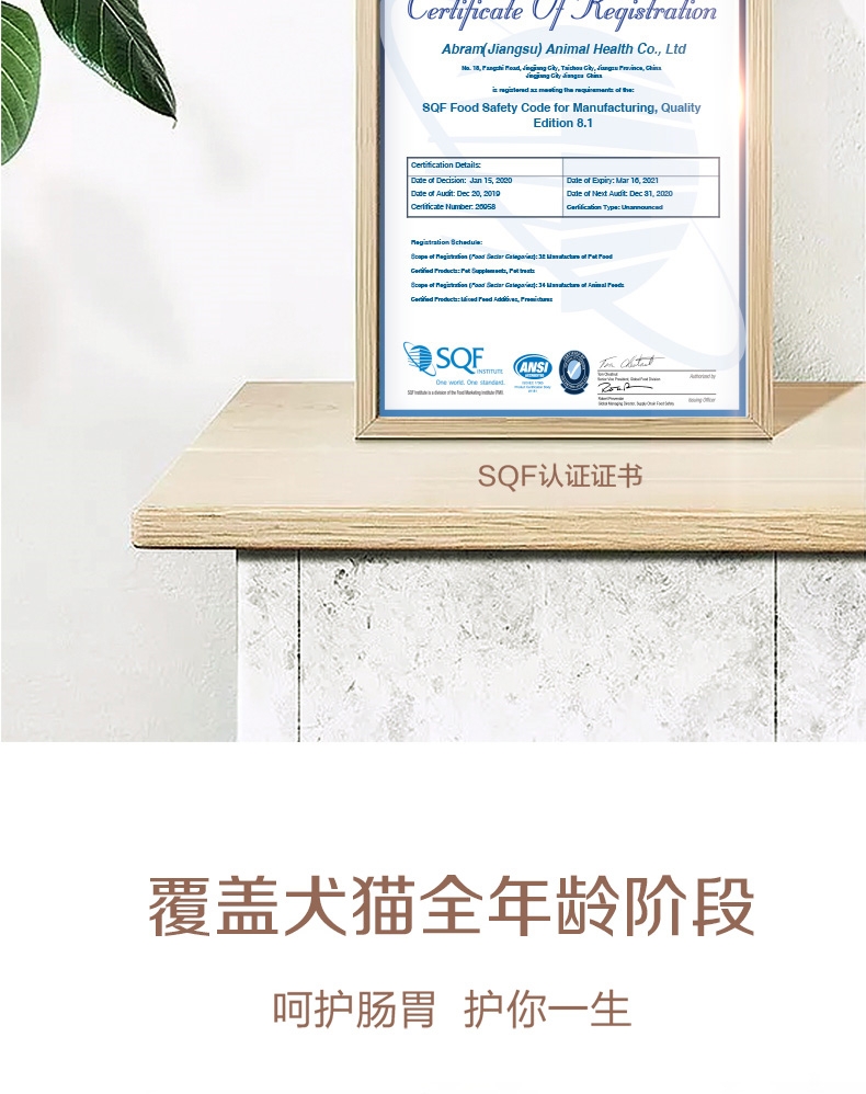 麦德氏IN-basic 九合一肠胃宝 25g 犬猫通用 改善呕吐腹泻