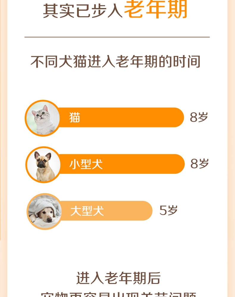 麦德氏IN-basic 氨糖关节健 48g 犬猫通用 多维保护
