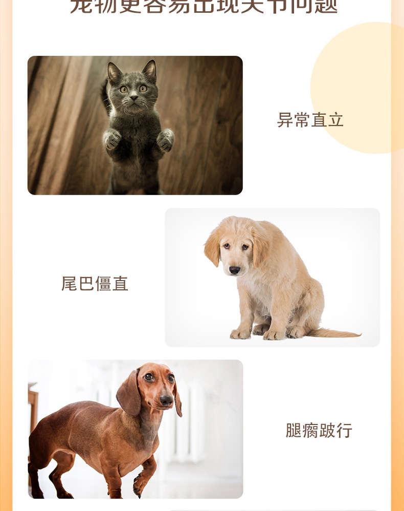麦德氏IN-basic 氨糖关节健 48g 犬猫通用 多维保护