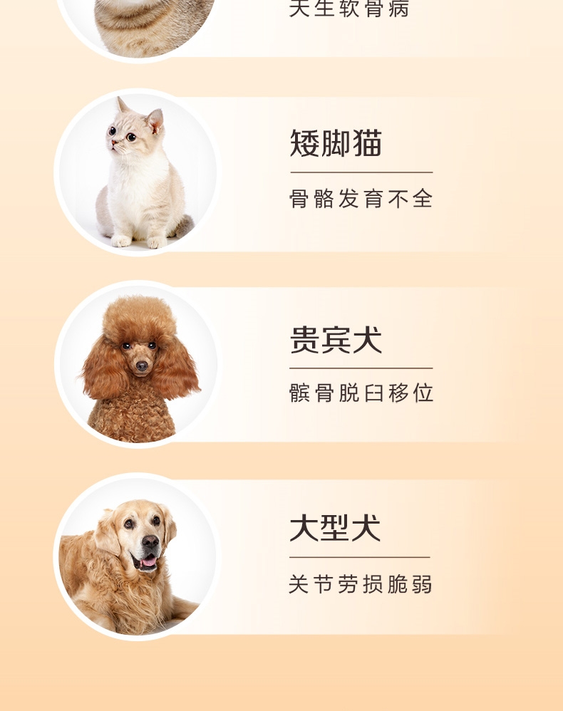 麦德氏IN-basic 氨糖关节健 48g 犬猫通用 多维保护
