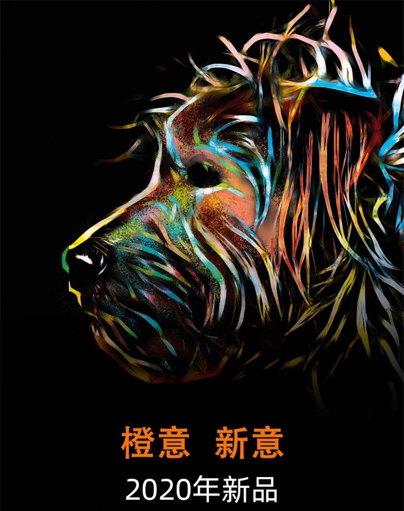 福莱希 爱马橙(New Neon 2020)自动伸缩牵引绳(带状) 高质量牵引绳