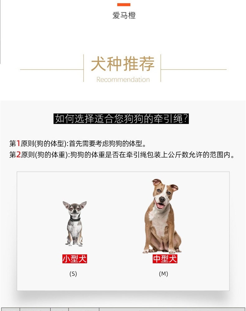 福莱希 爱马橙(New Neon 2020)自动伸缩牵引绳(带状) 高质量牵引绳