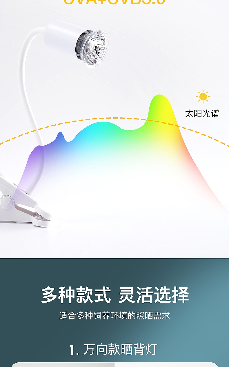 聚宝源 乌龟晒背灯泡