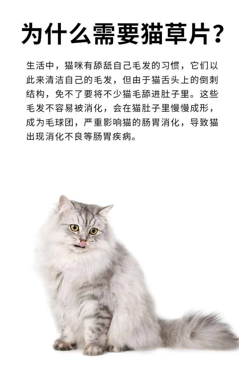 红狗 猫草片 90片/瓶 (猫用) 帮助肠道蠕动 排毛球