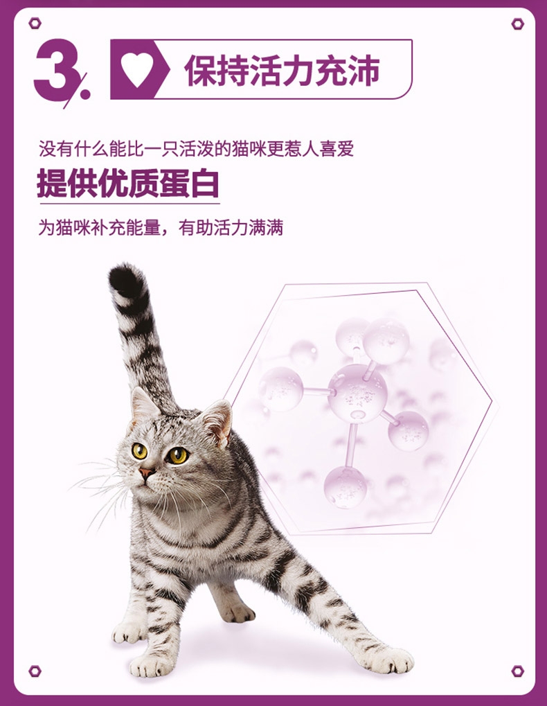 伟嘉 成猫猫粮海洋鱼味 4.5kg
