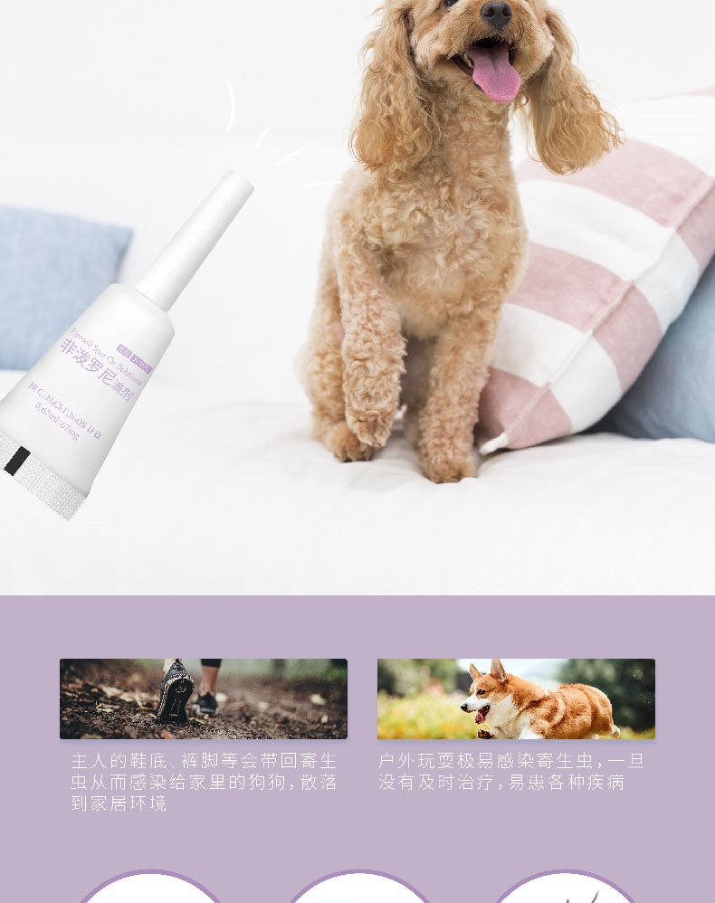 小可宠药 非泼罗尼滴剂 小型犬0.67ml*1支 适合≤10KG 狗体外驱虫 长效安全