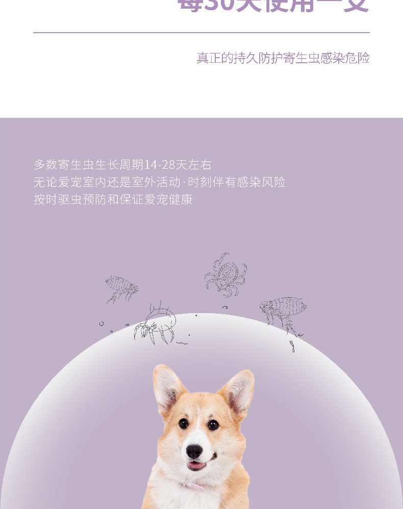 小可宠药 非泼罗尼滴剂 小型犬0.67ml*1支 适合≤10KG 狗体外驱虫 长效安全