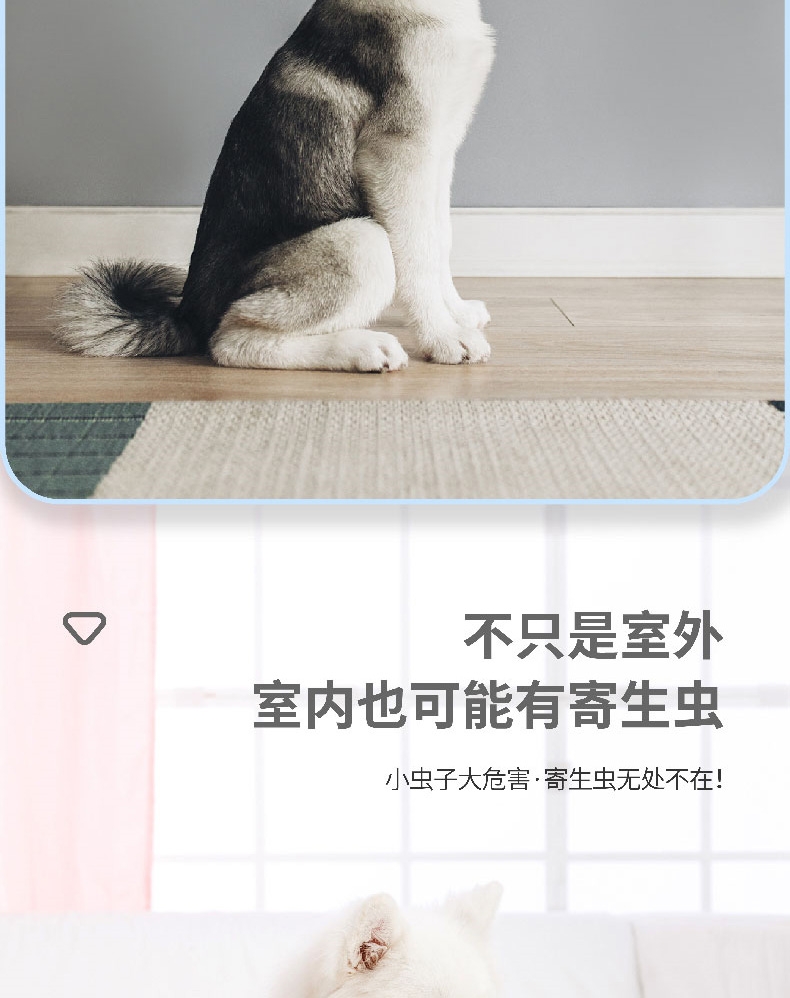 小可宠药 非泼罗尼滴剂 中型犬1.34ml*1支 适合10-20kg 温和安全 狗体外驱虫
