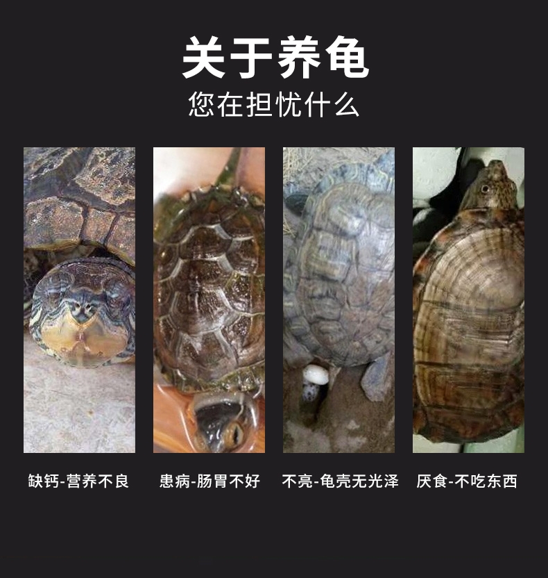宠贝拉 全价龟粮 450ml 营养丰富 适口性好