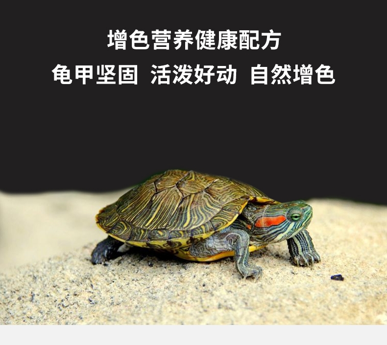 宠贝拉 全价龟粮 450ml 营养丰富 适口性好