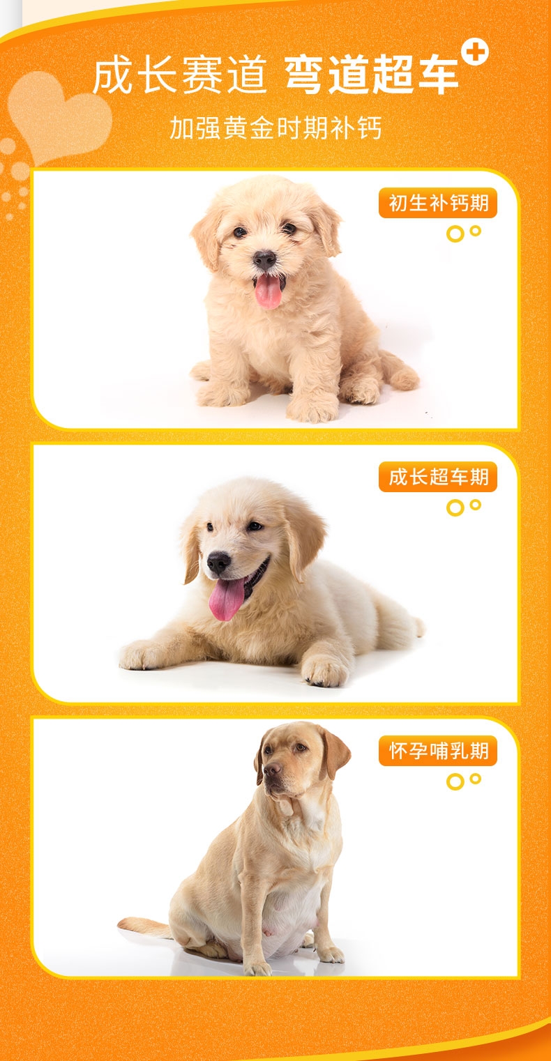 麦德氏 In-Basic 犬 羊乳钙片 380片