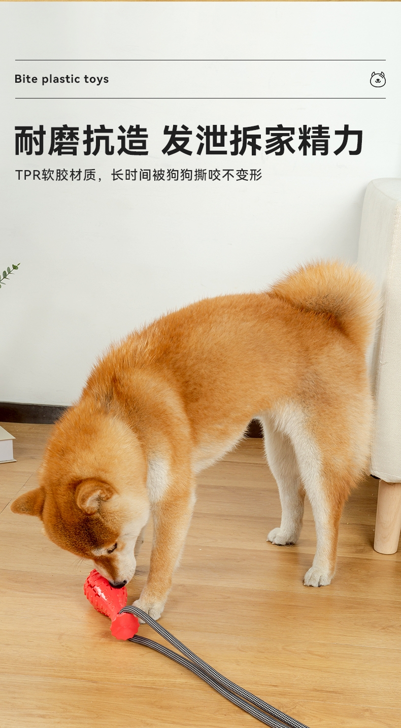 派可为 好运锦鲤咬胶玩具