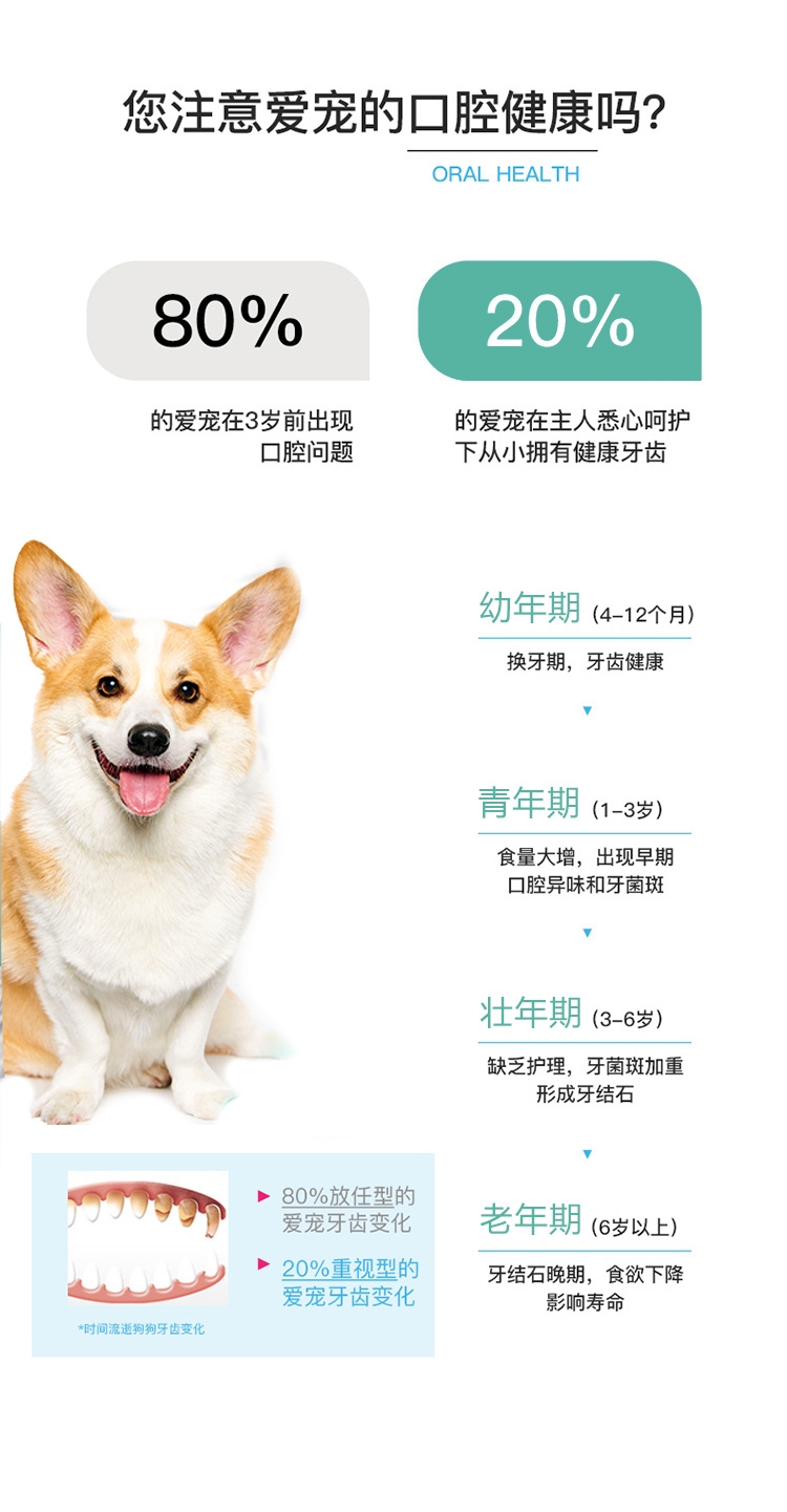 Telate 犬猫通用360度牙刷 颜色随机