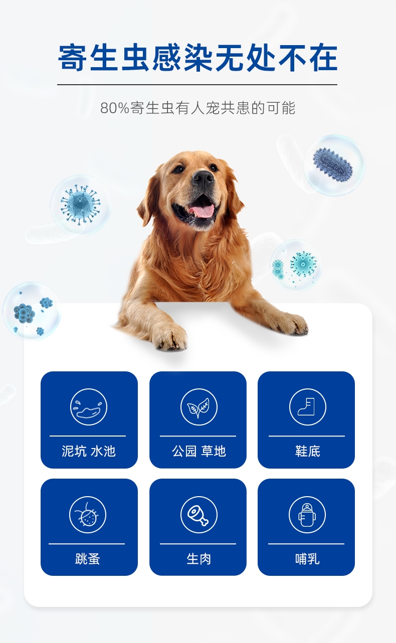 唯特医生 护宠乐™阿苯达唑片 6片/盒