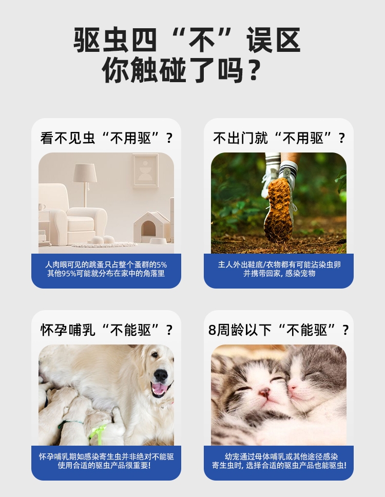 迪可它 非泼罗尼宠物体外驱虫喷剂100ml 猫狗通用 家居环境可喷
