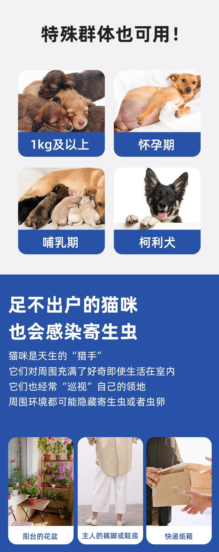 迪可它 非泼罗尼宠物体外驱虫喷剂100ml 猫狗通用 家居环境可喷