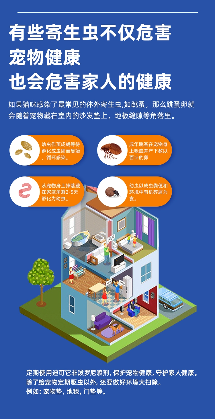 迪可它 非泼罗尼宠物体外驱虫喷剂100ml 猫狗通用 家居环境可喷