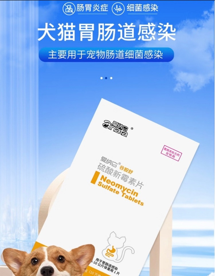 爱纳它 胃肠道感染硫酸新霉素片 6片 效期25年6月