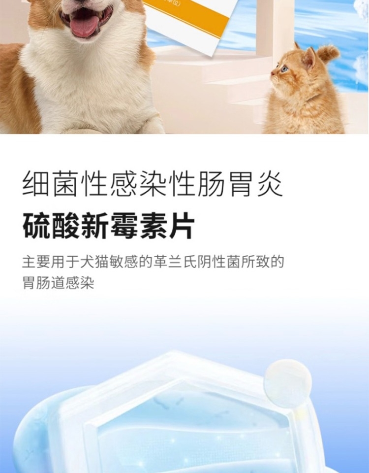 爱纳它 胃肠道感染硫酸新霉素片 6片 效期25年6月
