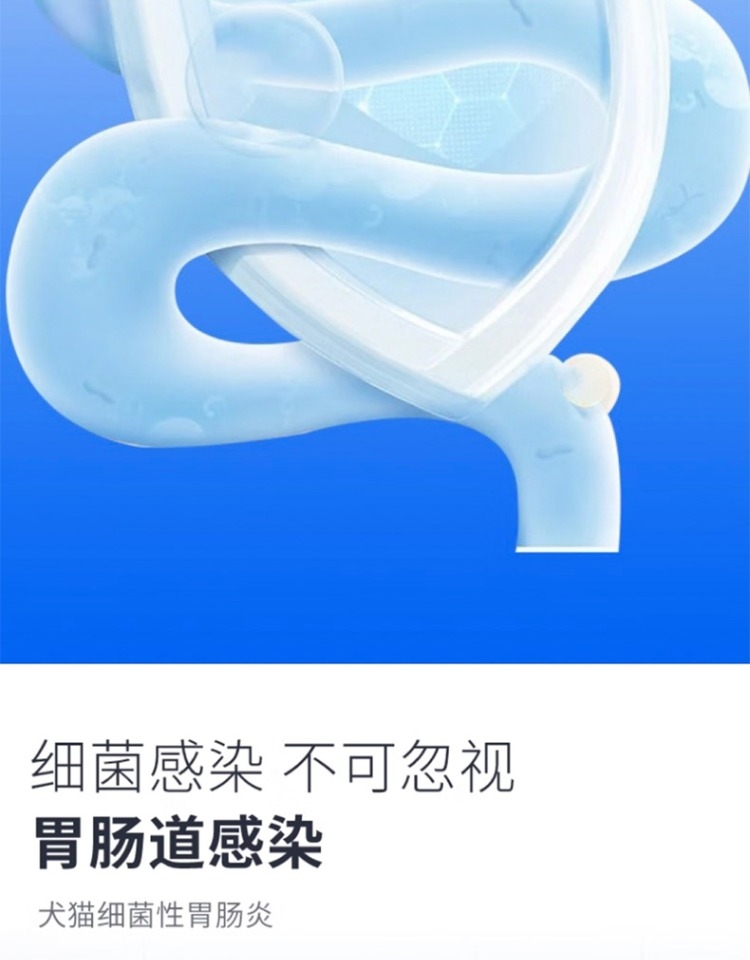 爱纳它 胃肠道感染硫酸新霉素片 6片 效期25年6月