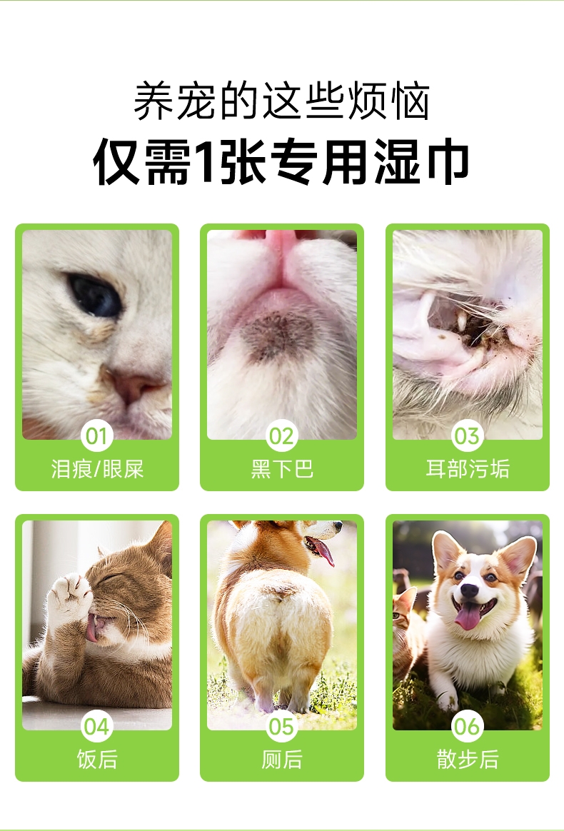 怡亲 宠物专用湿巾 绿茶清香 80片*3 犬猫通用