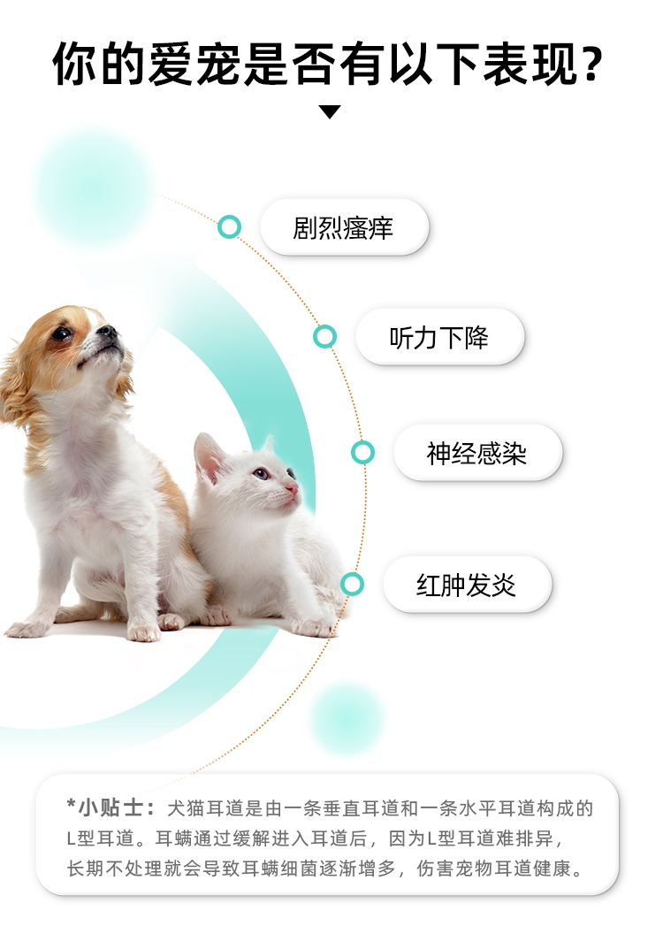 新宠之康 尔准欣10g/支 犬猫通用