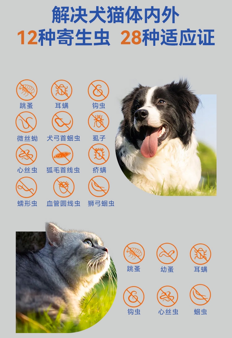 迪可它 吡虫啉莫昔克丁滴剂1ml单支*2 狗狗内外驱虫