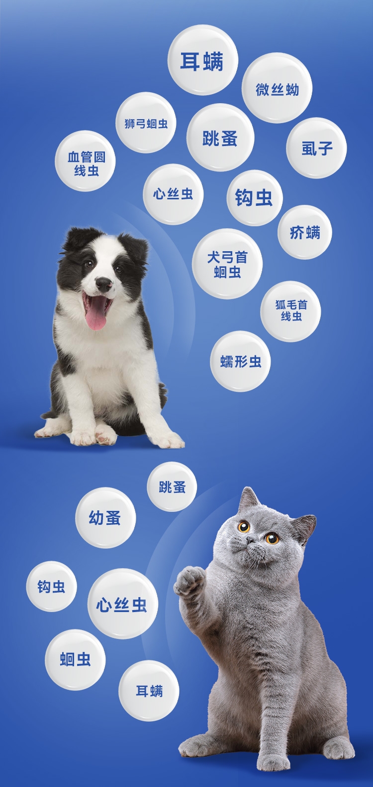 迪可它 吡虫啉莫昔克丁滴剂1ml单支*2 狗狗内外驱虫