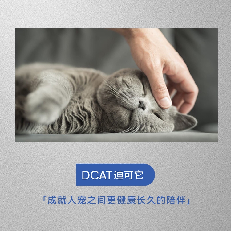 迪可它 吡虫啉莫昔克丁滴剂1ml单支*2 狗狗内外驱虫