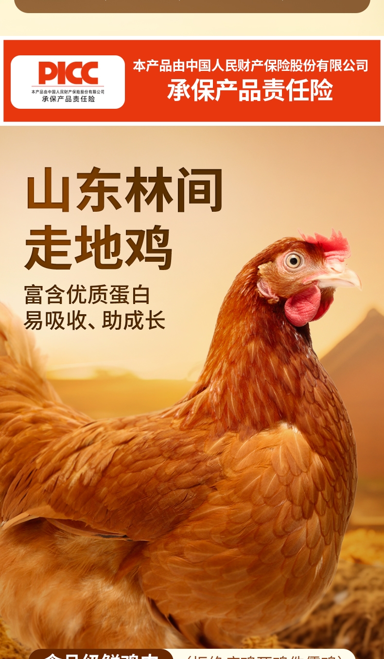 优倍滋 初宠启航系列全价成猫粮鸡肉配方10kg