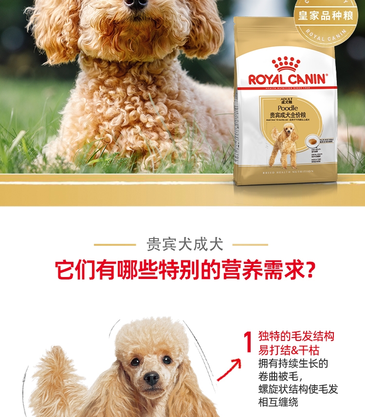 法国皇家Royal Canin 泰迪贵宾专用成犬粮 3kg PD30