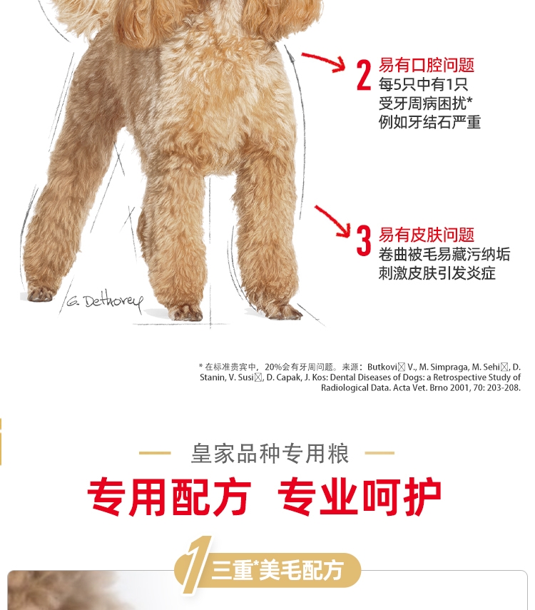 法国皇家Royal Canin 泰迪贵宾专用成犬粮 3kg PD30