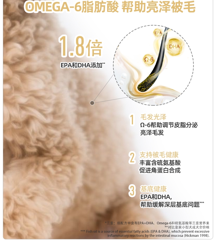 法国皇家Royal Canin 泰迪贵宾专用成犬粮 3kg PD30